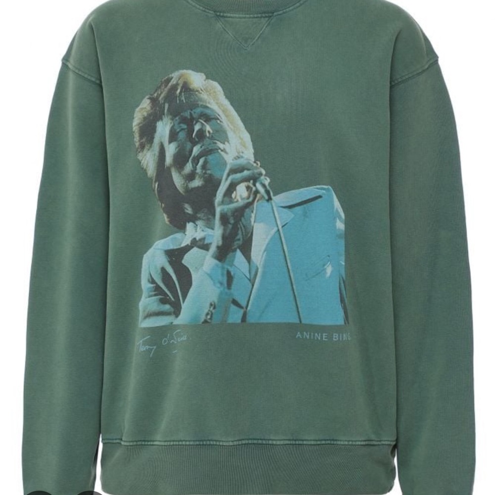 Anine Bing Forest Green Graphic Sweatshirt